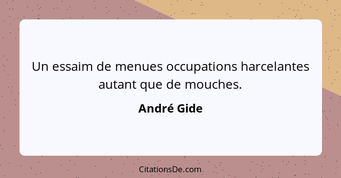 Un essaim de menues occupations harcelantes autant que de mouches.... - André Gide