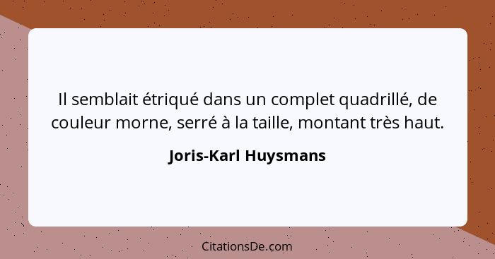 Il semblait étriqué dans un complet quadrillé, de couleur morne, serré à la taille, montant très haut.... - Joris-Karl Huysmans