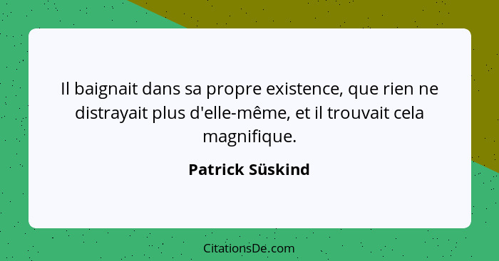 Il baignait dans sa propre existence, que rien ne distrayait plus d'elle-même, et il trouvait cela magnifique.... - Patrick Süskind