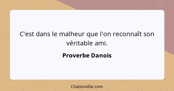 C'est dans le malheur que l'on reconnaît son véritable ami.... - Proverbe Danois