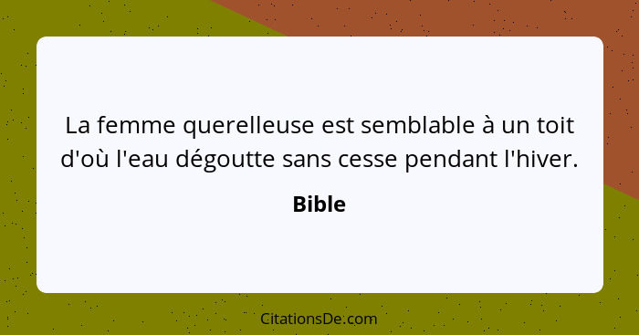 La femme querelleuse est semblable à un toit d'où l'eau dégoutte sans cesse pendant l'hiver.... - Bible