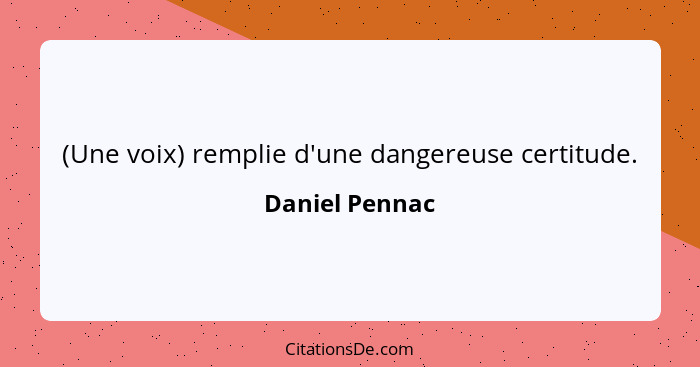 (Une voix) remplie d'une dangereuse certitude.... - Daniel Pennac