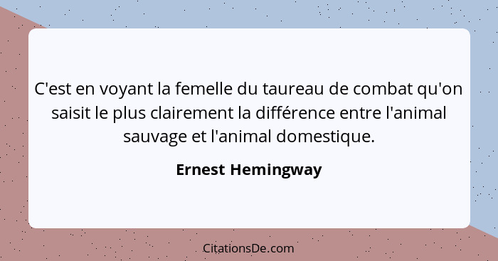 C'est en voyant la femelle du taureau de combat qu'on saisit le plus clairement la différence entre l'animal sauvage et l'animal do... - Ernest Hemingway