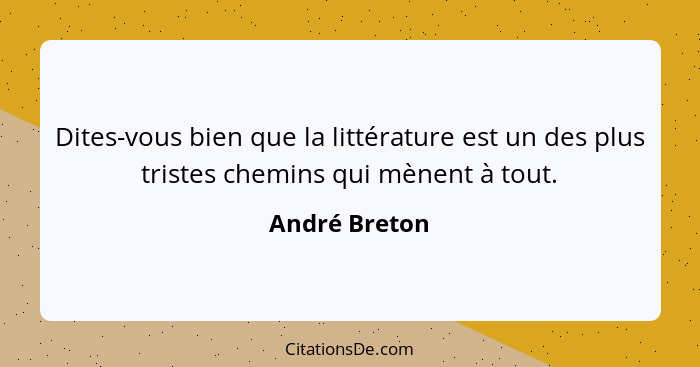 Dites-vous bien que la littérature est un des plus tristes chemins qui mènent à tout.... - André Breton