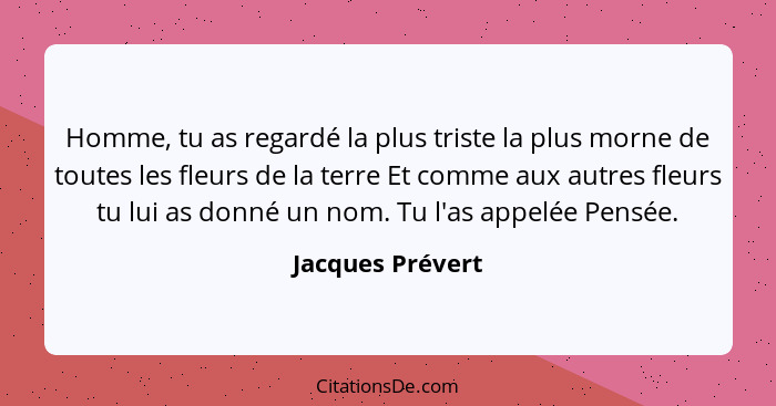 Homme, tu as regardé la plus triste la plus morne de toutes les fleurs de la terre Et comme aux autres fleurs tu lui as donné un nom... - Jacques Prévert