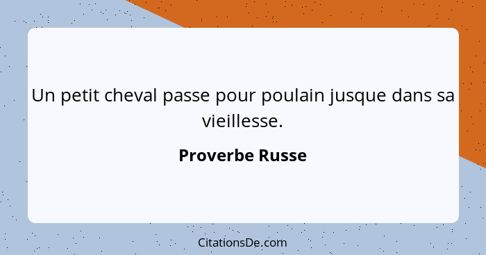 Un petit cheval passe pour poulain jusque dans sa vieillesse.... - Proverbe Russe