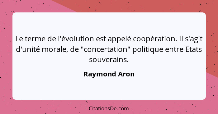 Le terme de l'évolution est appelé coopération. Il s'agit d'unité morale, de "concertation" politique entre Etats souverains.... - Raymond Aron