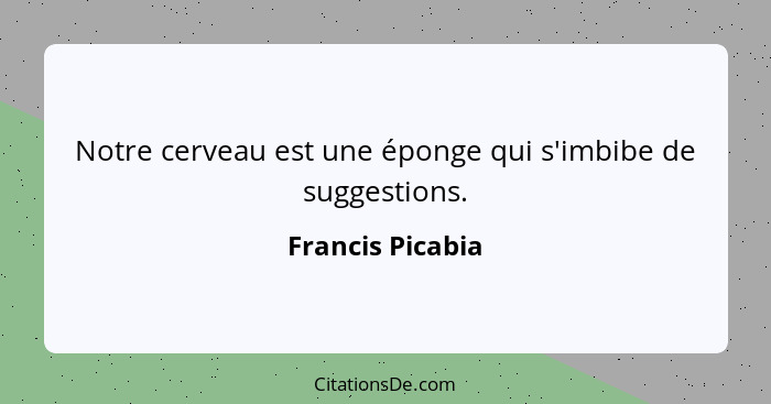 Notre cerveau est une éponge qui s'imbibe de suggestions.... - Francis Picabia