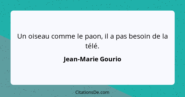 Un oiseau comme le paon, il a pas besoin de la télé.... - Jean-Marie Gourio