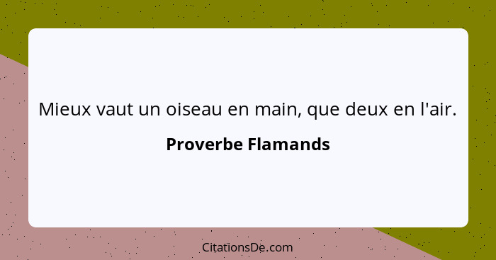 Mieux vaut un oiseau en main, que deux en l'air.... - Proverbe Flamands