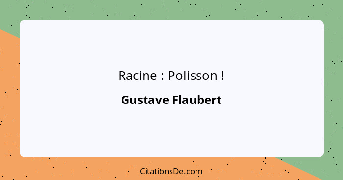 Racine : Polisson !... - Gustave Flaubert