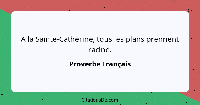 À la Sainte-Catherine, tous les plans prennent racine.... - Proverbe Français