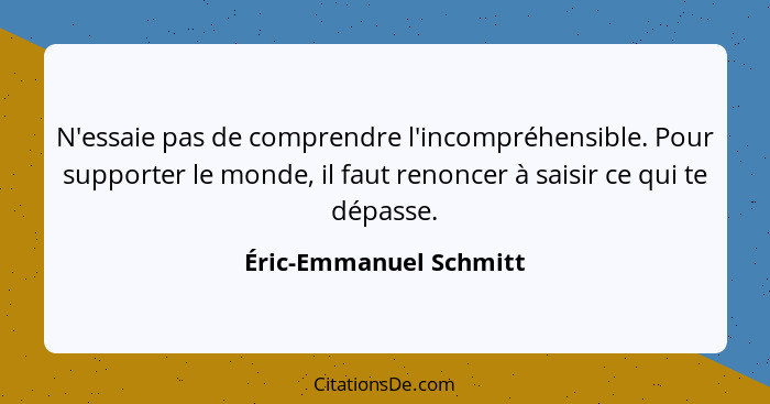 N'essaie pas de comprendre l'incompréhensible. Pour supporter le monde, il faut renoncer à saisir ce qui te dépasse.... - Éric-Emmanuel Schmitt