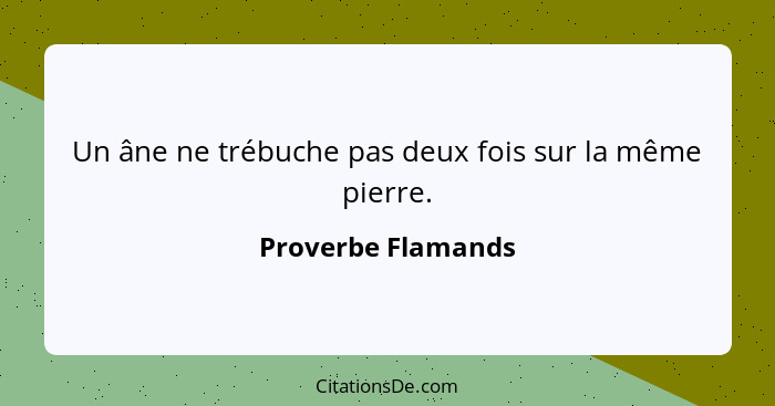 Un âne ne trébuche pas deux fois sur la même pierre.... - Proverbe Flamands