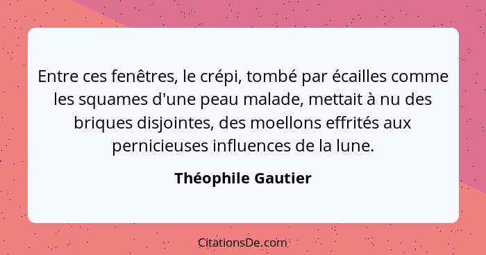 Entre ces fenêtres, le crépi, tombé par écailles comme les squames d'une peau malade, mettait à nu des briques disjointes, des moe... - Théophile Gautier