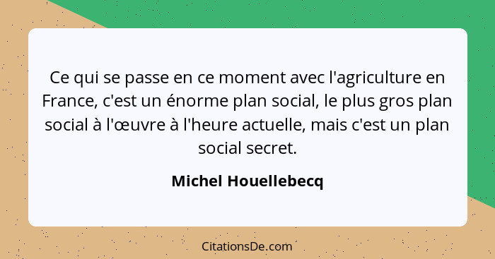 Ce qui se passe en ce moment avec l'agriculture en France, c'est un énorme plan social, le plus gros plan social à l'œuvre à l'he... - Michel Houellebecq