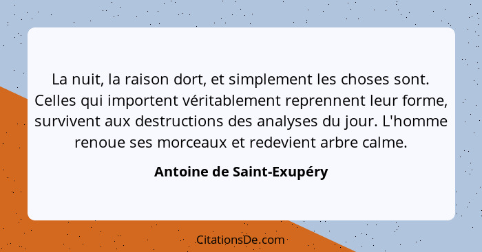 La nuit, la raison dort, et simplement les choses sont. Celles qui importent véritablement reprennent leur forme, survivent... - Antoine de Saint-Exupéry