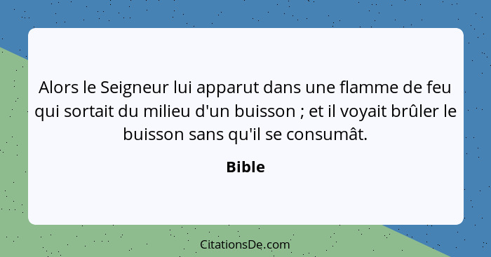 Alors le Seigneur lui apparut dans une flamme de feu qui sortait du milieu d'un buisson ; et il voyait brûler le buisson sans qu'il se co... - Bible