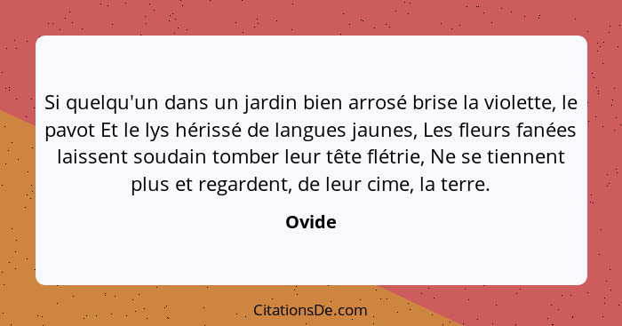 Si quelqu'un dans un jardin bien arrosé brise la violette, le pavot Et le lys hérissé de langues jaunes, Les fleurs fanées laissent soudain to... - Ovide