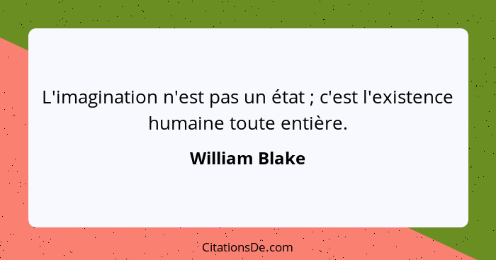 L'imagination n'est pas un état ; c'est l'existence humaine toute entière.... - William Blake