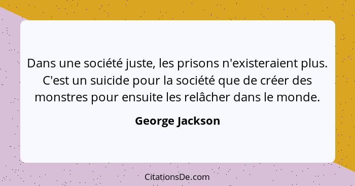 Dans une société juste, les prisons n'existeraient plus. C'est un suicide pour la société que de créer des monstres pour ensuite les... - George Jackson