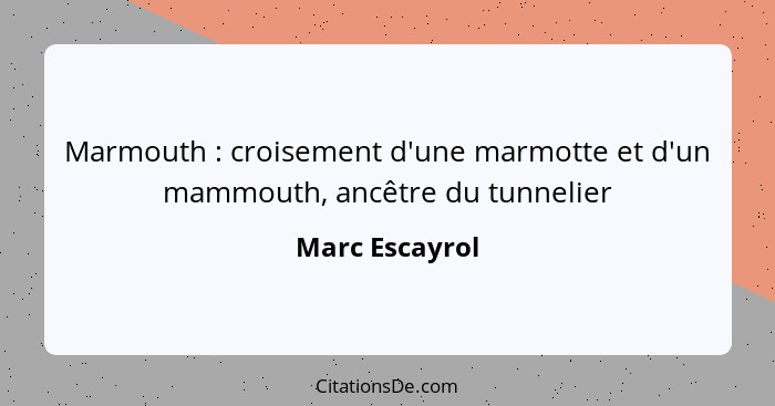 Marmouth : croisement d'une marmotte et d'un mammouth, ancêtre du tunnelier... - Marc Escayrol