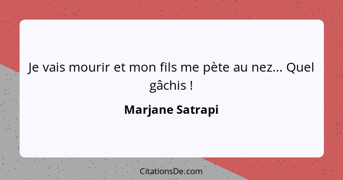 Je vais mourir et mon fils me pète au nez... Quel gâchis !... - Marjane Satrapi