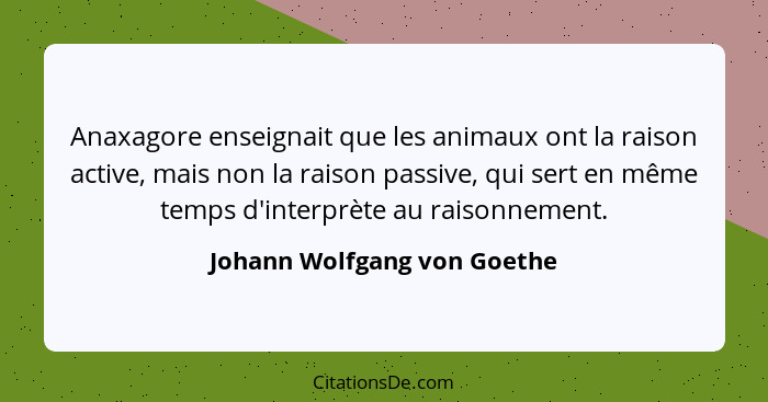 Anaxagore enseignait que les animaux ont la raison active, mais non la raison passive, qui sert en même temps d'interprèt... - Johann Wolfgang von Goethe