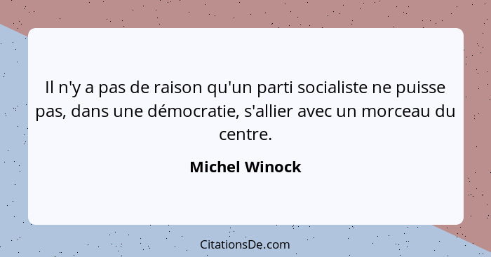 Il n'y a pas de raison qu'un parti socialiste ne puisse pas, dans une démocratie, s'allier avec un morceau du centre.... - Michel Winock