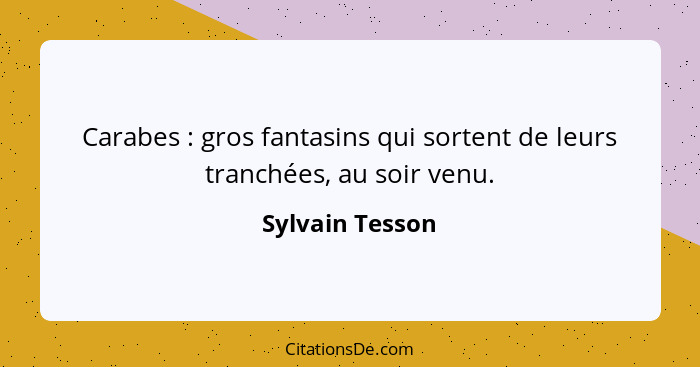 Carabes : gros fantasins qui sortent de leurs tranchées, au soir venu.... - Sylvain Tesson