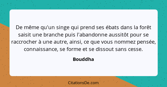 De même qu'un singe qui prend ses ébats dans la forêt saisit une branche puis l'abandonne aussitôt pour se raccrocher à une autre, ainsi, ce... - Bouddha