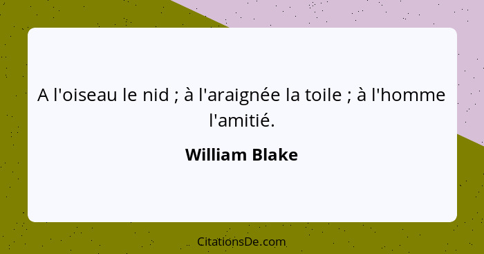 A l'oiseau le nid ; à l'araignée la toile ; à l'homme l'amitié.... - William Blake