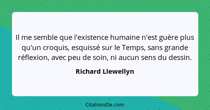 Il me semble que l'existence humaine n'est guère plus qu'un croquis, esquissé sur le Temps, sans grande réflexion, avec peu de soi... - Richard Llewellyn