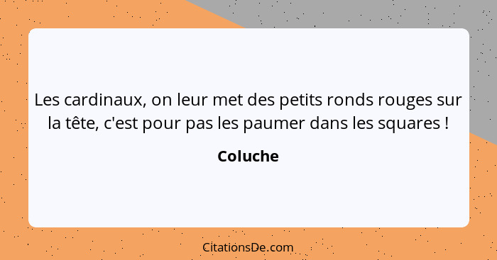 Les cardinaux, on leur met des petits ronds rouges sur la tête, c'est pour pas les paumer dans les squares !... - Coluche