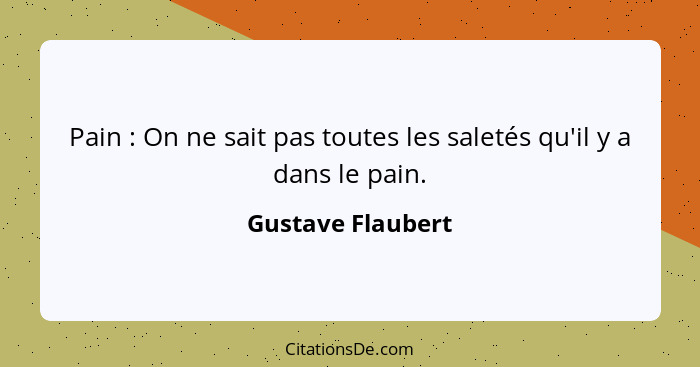 Pain : On ne sait pas toutes les saletés qu'il y a dans le pain.... - Gustave Flaubert