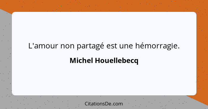 L'amour non partagé est une hémorragie.... - Michel Houellebecq