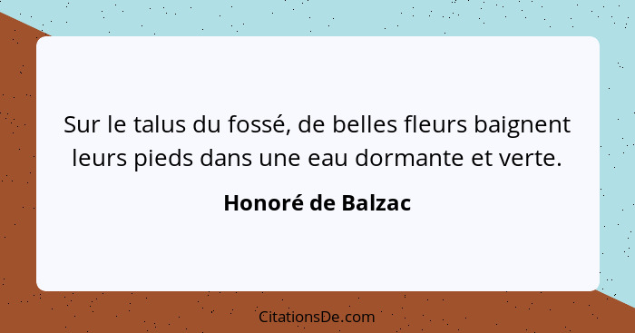 Sur le talus du fossé, de belles fleurs baignent leurs pieds dans une eau dormante et verte.... - Honoré de Balzac