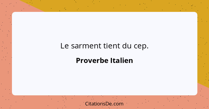 Le sarment tient du cep.... - Proverbe Italien