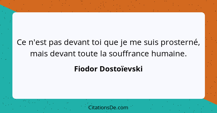 Ce n'est pas devant toi que je me suis prosterné, mais devant toute la souffrance humaine.... - Fiodor Dostoïevski