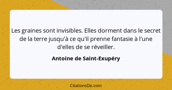 Les graines sont invisibles. Elles dorment dans le secret de la terre jusqu'à ce qu'il prenne fantasie à l'une d'elles de s... - Antoine de Saint-Exupéry