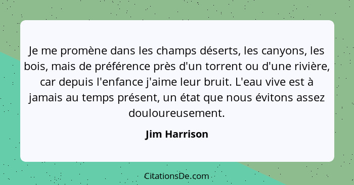 Je me promène dans les champs déserts, les canyons, les bois, mais de préférence près d'un torrent ou d'une rivière, car depuis l'enfan... - Jim Harrison