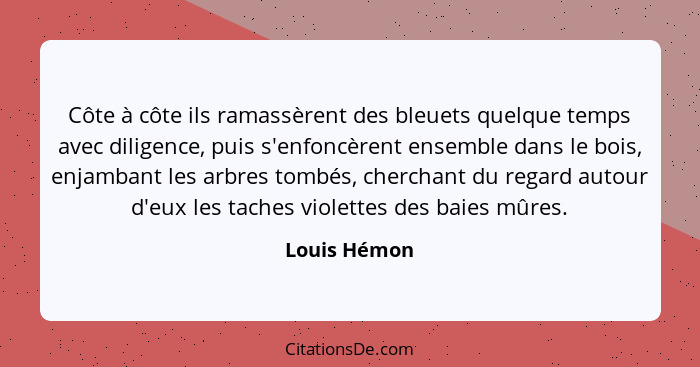 Côte à côte ils ramassèrent des bleuets quelque temps avec diligence, puis s'enfoncèrent ensemble dans le bois, enjambant les arbres tom... - Louis Hémon