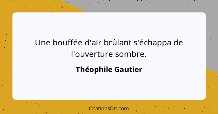 Une bouffée d'air brûlant s'échappa de l'ouverture sombre.... - Théophile Gautier