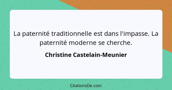 La paternité traditionnelle est dans l'impasse. La paternité moderne se cherche.... - Christine Castelain-Meunier