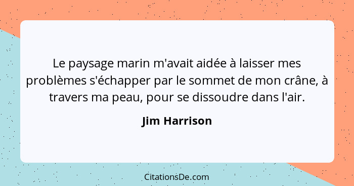 Le paysage marin m'avait aidée à laisser mes problèmes s'échapper par le sommet de mon crâne, à travers ma peau, pour se dissoudre dans... - Jim Harrison