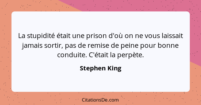 La stupidité était une prison d'où on ne vous laissait jamais sortir, pas de remise de peine pour bonne conduite. C'était la perpète.... - Stephen King