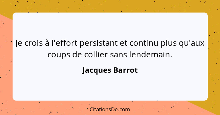 Je crois à l'effort persistant et continu plus qu'aux coups de collier sans lendemain.... - Jacques Barrot