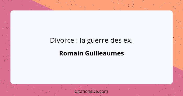 Divorce : la guerre des ex.... - Romain Guilleaumes