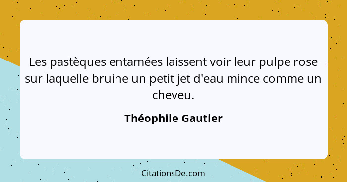 Les pastèques entamées laissent voir leur pulpe rose sur laquelle bruine un petit jet d'eau mince comme un cheveu.... - Théophile Gautier