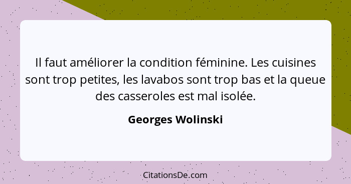 Il faut améliorer la condition féminine. Les cuisines sont trop petites, les lavabos sont trop bas et la queue des casseroles est m... - Georges Wolinski